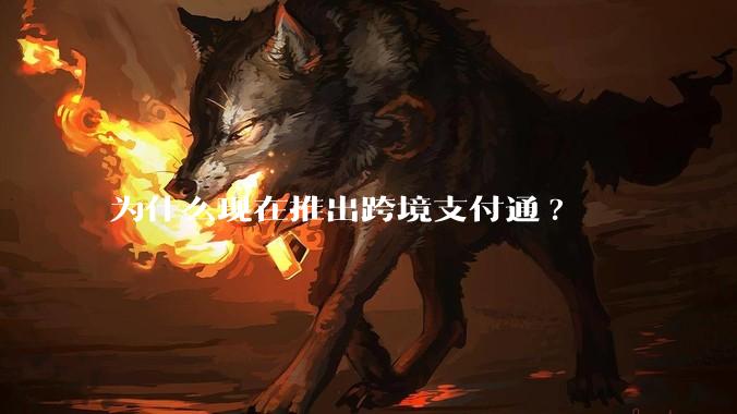 为什么现在推出跨境支付通?