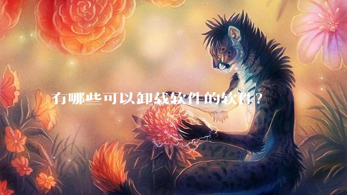 有哪些可以卸载软件的软件？