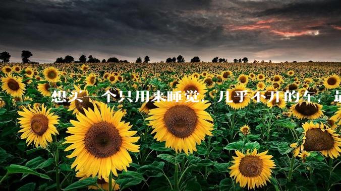 想买一个只用来睡觉，几乎不开的车，最低成本是多少？