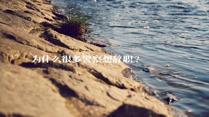 为什么很多警察想辞职?