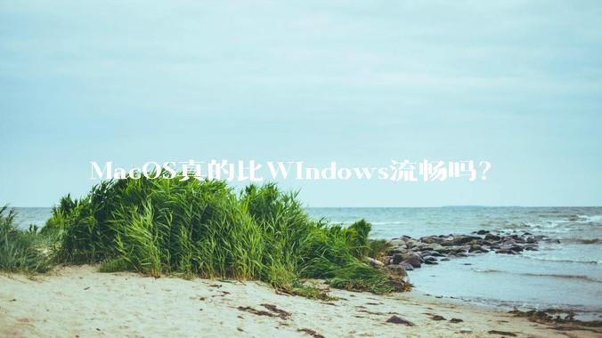 MacOS真的比Windows流畅吗？