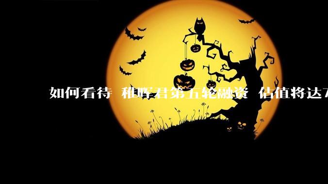 如何看待 稚晖君第五轮融资 估值将达70亿？