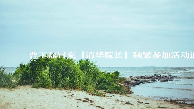 曹玉磊冒充「清华院长」频繁参加活动遭官方打***，他为何能堂而皇之以***身份开展活动？其将受到哪些处罚？
