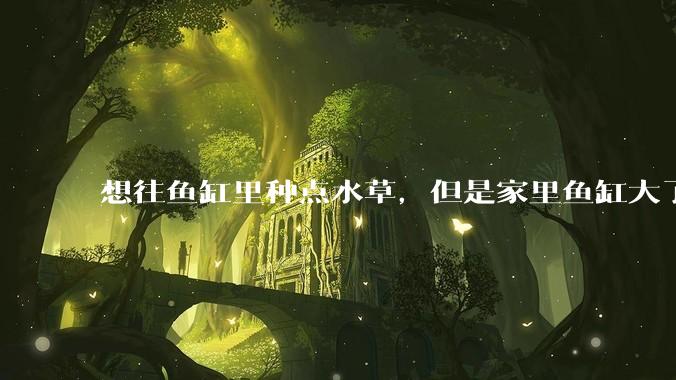想往鱼缸里种点水草，但是家里鱼缸大了买水草泥或者底砂太贵了，有没有生活中可以替代的物品或其他建议？
