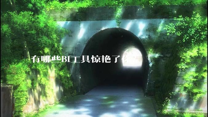 有哪些BI工具惊艳了你？
