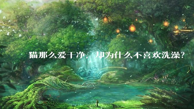 猫那么爱干净，却为什么不喜欢洗澡？