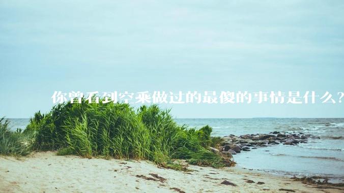你曾看到空乘做过的最傻的事情是什么？
