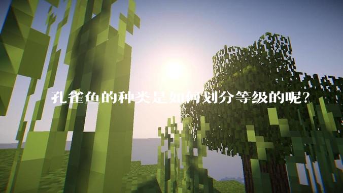 孔雀鱼的种类是如何划分等级的呢？