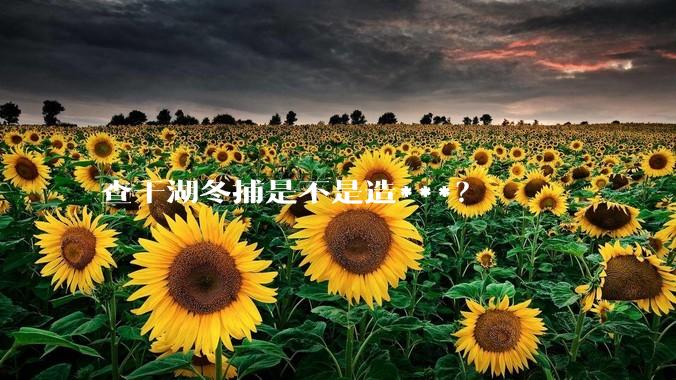 查干湖冬捕是不是造***？