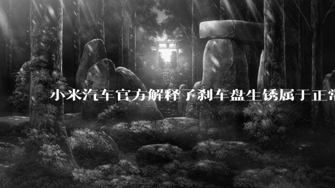小米汽车官方解释了刹车盘生锈属于正常现象，并提供了两种除锈功能，这些措施是否足够有效？